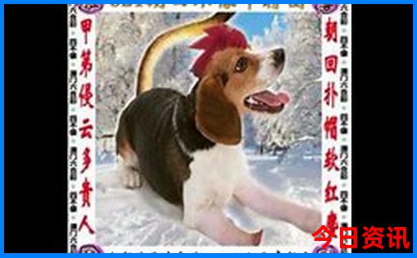 乐东一日游最佳去处